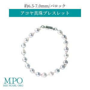 �y�S�i�M�t�g��z�� �o���b�N �� �A�R���^��u���X���b�g ��6.5-7.0mm �^�J py-v-003 �O�d���^����H�̔������g��