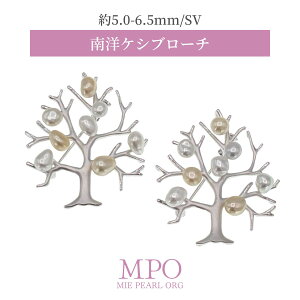 ySiMtgz ؃`[t  PVu[` 5.0-6.5mm SV y-b-179 Od^H̔g