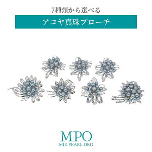 ySiMtgz 7ނIׂ  ARO[^u[` SV y-b-188 Od^H̔g