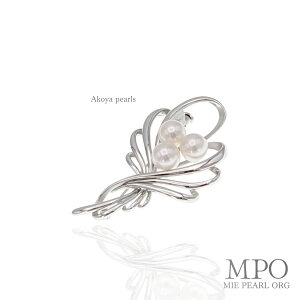 ySiMtgz ȃu[P  AR^u[` 7.5mmUP×3 y-b-197 Od^H̔g