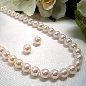 ySiMtgz X1ԐlC  AR^lbNXZbg iCO/sAXj 7.0-7.5mm SV y-n-1102 Od^H̔gmFwsn