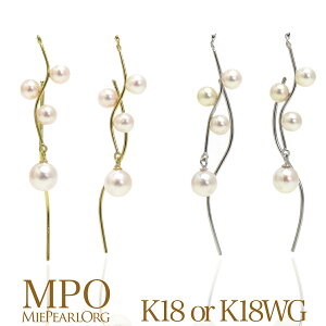 ARxr[p[fUCsAX p[ ^ Mtg