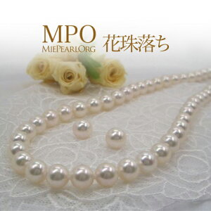 ySiMtgz Ԏ엎  AR^lbNXZbg iCO/sAXj 8.0-8.5mm SV y-n-3330 Od^H̔g