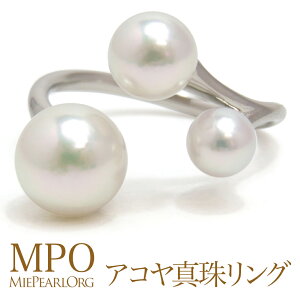 ySiMtgzAR^I[vO 5.0-8.0mm Pt900 y-r-119 Od^H̔g