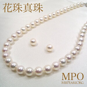 ySiMtgz Ԏ^  IzCgnAR^lbNXZbg iCO/sAXj 8.0-8.5mm SV y-sn-035 yӕʏtizOd^H̔g