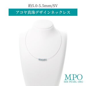 ySiMtgz O[  AR^fUClbNX 5.0-5.5mm SV y-p-189 Od^H̔g