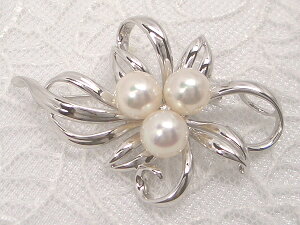 ySiMtgz lC̃t[`[t  AR^u[` 7.5mm SV y-b-041 Od^H̔g