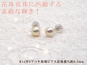 ySiMtgz Ԏ엎  AR^sAX 6.5mm K14WG y-i-917 Od^H̔g