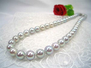 唽DF{lɂ҂IO[lbNXij7.5`8.0mm@wƎ̃tH[}ɂœKI@ @Mtg@v[g