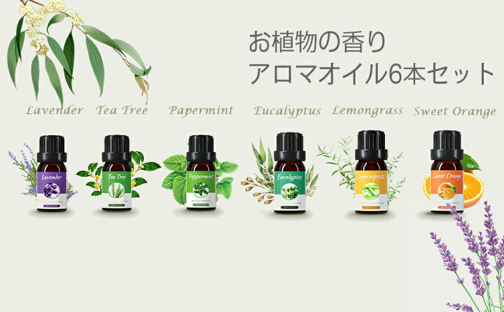 楽天市場 １注文につき１つ無料プレゼント 10mlx6本セット Homasy エッセンシャルオイル アロマオイル 精油 セット ラベンダー ユーカリ レモングラス ミント オレンジスイート ティートゥリー 精油 レモン ギフト プレゼント 可愛い エムパウジャパン楽天市場店