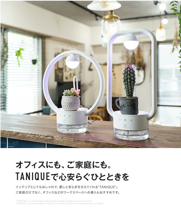 楽天市場 無料ラッピング 大好評4 8 インテリアとして飾るだけで育つ Epeios 植物育成ライト Tanique 自動給水 Led 多肉植物 サボテン 観葉植物 24時間自動運転 自動給水 タイマー 自動 On Off 室内栽培 インテリア 照明 テーブルライト 多肉育成ライト エムパウ