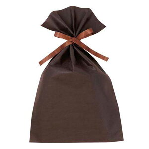 iPiwsjMtgbsO ԕ310×500mm ʕsDz̃VvȋВ uh