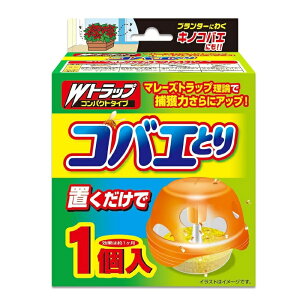 yCIP~JzWgbv RoGƂ { 1 񂹏i