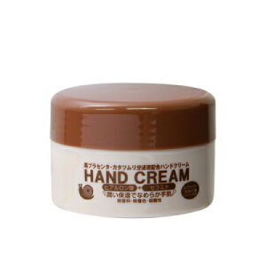 yvhDV[EfBJzhN^[vZ P&SnhN[ 120g 񂹏i