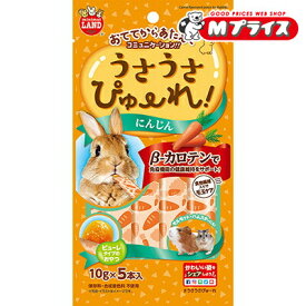 【マルカン】うさうさぴゅーれ にんじん 10g×5本入 ☆ペット用品 ※お取り寄せ商品【賞味期限：3ヵ月以上】
