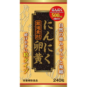 yEGlXWpzɂɂ 240 񂹏i