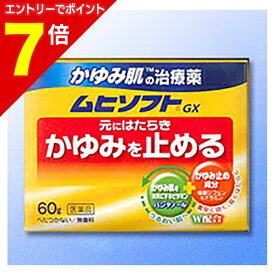 【ポイント7倍：お買い物マラソンと同時開催 ※要エントリー】【第3類医薬品】【池田模範堂】ムヒソフトGX 60g【セルフメディケーション税制 対象品】