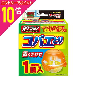 y|Cg10{ 11/1(y)9:59܂ vGg[zyCIP~JzWgbv RoGƂ { 1 񂹏i