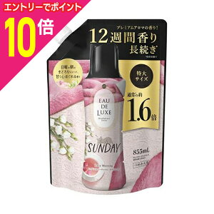 y|Cg10{FC[OXӍՂƓJ vGg[zyPGzmAI[hNX }ChtlXV[Y Tf[ ߂p TCY 855ml