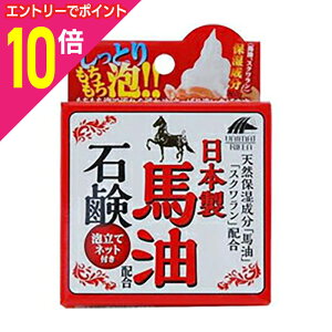 y|Cg10{FX[p[SALEƓJ vGg[zyj}bgPznΌ 100g 񂹏i