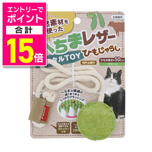 y|Cgv15{FC[OXӍՂƓJ vGg[zyyeBIzւ܃U[f^TOY Ђ炵 O[ 1 ybgpi 񂹏i