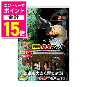 y|Cgv15{FX[p[SALEƓJ vGg[zy}JzoCI琬c}bg 10L ybgpi 񂹏i