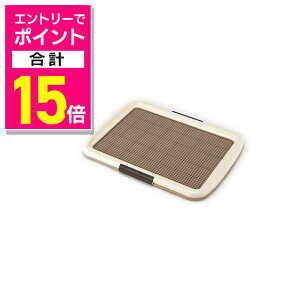 y|Cgv15{FX[p[SALEƓJ vGg[zy{rARzg[bVvXM AC{[ 1 ybgpi 񂹏i