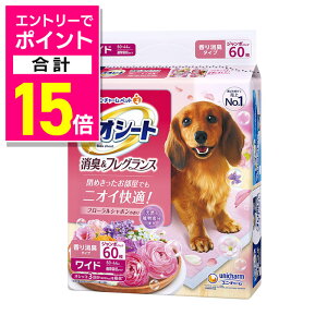 y|Cgv15{FubNtCf[J vGg[zyjE`[zfIV[g L&tOX t[V{̍ Ch 60 ybgpi 񂹏