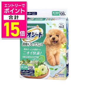 y|Cgv15{FubNtCf[J vGg[zyjE`[zfIV[g L&tOX O[A}̍ M[ 120 ybgpi 񂹏