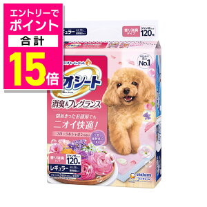 y|Cgv15{FubNtCf[J vGg[zyjE`[zfIV[g L&tOX t[V{̍ M[ 120 ybgpi 