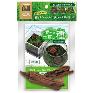 y}J jb\[zĂ鐅̎ Xg[gwA[ ybgpi 񂹏i