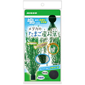 【マルカン ニッソー】メダカのたまご産み草　1個 ☆ペット用品 ※お取り寄せ商品【RCP】