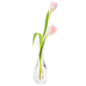 ComSaf ԕr Ȃ ֑}  t[x[X |J[{l[g  ͔| CeA v[g 18cm