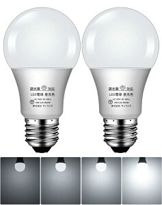 LEDd Ή E26 100^ d10W d S^Cv Ή Ή fMފΉ (F, 2Zbg)