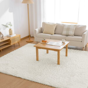 Matdeco ラグ カーペット シャギーラグ 長方形 約3畳 200×250cm 洗えるラグ ラグマット 滑り止め 防音絨毯 ふわっと手触り オールシーズン リビング用 じゅうたん 柔らかい (ホワイト, 約3畳200×250