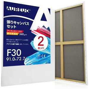 AUREUO �ȉ��@���a ����L�����o�X F30 (91.0cmX72.7cm) 2�� - ���ڕz�E ���ʉ�E���G��E�A�N�������p - ���_���A�[�g�E�|�b�v�A�[�g�ɍœK