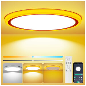 Coizabera LED�V�[�����O���C�g10�� 36W �Ԑڌ���铔�t�� �����F �����F �d���F �������F �ɔ��^ ������� �V��Ɩ���� �d�C �u���� Ceiling Light �V�[�����O���C�g 10�� �Q��/���r���O/�L�b�`���K