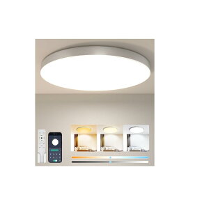 �V�[�����O���C�g 6�� Coizabera �������F 28W 3600LM �Ɩ���� �ȓd�͂ō����F��LED���C�g �d�C �u���� Ceiling Light �����R������ �X�}�zAPP���� �m�� �a�� ���r���O/�L�b�`��/�Q��/���ʏ� �K�p