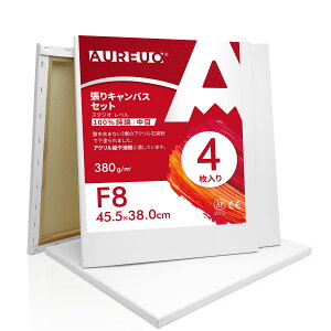 AUREUO LoX Zbg F8 (45.5cmx38.0cm)  100Rbg 4 S Gp |pGn G p ʉEGEANp