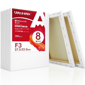 AUREUO LoX Zbg F3 (27.3cmx22.0cm)  100Rbg 8 S Gp |pGn G p ʉEGEANp