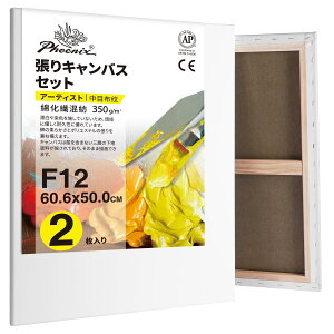 PHOENIX i`F ȉ@a LoX F12 (60.6cmX50.0cm) 1 - ڕzE VR̕n v̊Gp - NVbN⃔Be[WX^C̊GɍœK