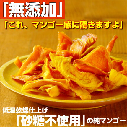 【マンゴー100%】【送料無料】宮崎マンゴーレベルの完熟マンゴーを乾かしただけ！無添加・砂糖無しの健康ドライマンゴー70gx5袋セット