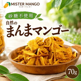 【罪悪感ゼロ 完熟マンゴーだけで出来ています】マンゴー100% ドライマンゴー70gドライフルーツ 砂糖不使用 無添加 送料無料 食品 フルーツ ギフト 価格に 訳あり スイーツ お菓子 ヘルシー レシピ お取り寄せ