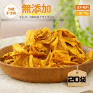 【完熟マンゴーだけで出来ています】マンゴー100% 砂糖不使用 無添加 ドライマンゴー 70g x 20袋ドライフ…