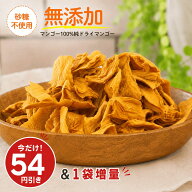 【9/16 10時まで54円引き＆1袋増量で計6袋】【完熟マンゴーだけで出来ています】ドライマンゴー 無添加 …