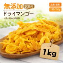 【安心安全の砂糖以外は無添加です】形不揃い ドライマンゴー 1kg (100g x 10袋)オススメ ドライフルーツ 食品添加物 保存料 無添加 通販 食物繊維 フィリピン 訳あり 市販 保存料なし 栄養 コスパ 小分け