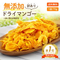 【安心安全の砂糖以外は無添加です】形不揃い ドライマンゴー 70gドライフルーツ マンゴー おすすめ 専門…
