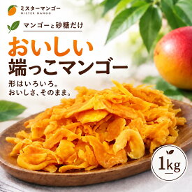 【安心安全の砂糖以外は無添加です】形不揃い ドライマンゴー 1kg (100g x 10袋)オススメ ドライフルーツ 食品添加物 保存料 無添加 通販 食物繊維 フィリピン 訳あり 市販 保存料なし 栄養 コスパ 小分け