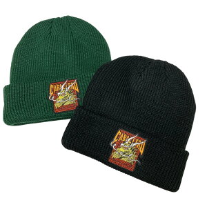 �p�E�G���y�����^ POWELL PERALTA �r�[�j�[ CAB STREET DRAGON �j�b�g�L���b�v �X�q �u���b�N �� BLACK �O���[�� GREEN ��