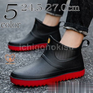 Cu[c Y fB[X  CV[Y JC ~ J V[gu[c AEghA